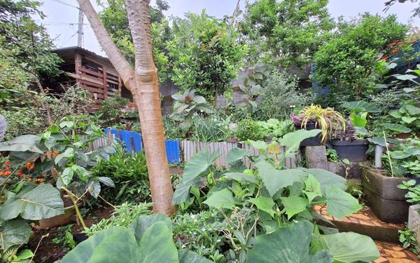 Maison à vendre    9 pièces •  Saint-Leu