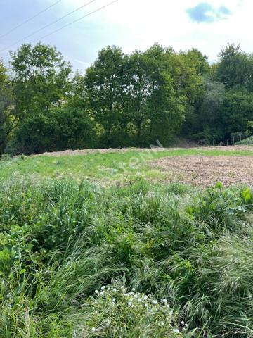 Vente agréable terrain à bâtir à Montval-sur-Loir (72500)