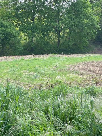 Vente agréable terrain à bâtir à Montval-sur-Loir (72500)