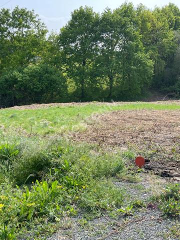 Vente agréable terrain à bâtir à Montval-sur-Loir (72500)