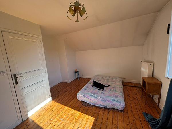 Une colocation dans une maison avec un coin de verdure