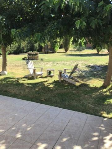 Maison à vendre 6 pièces REVEL (31)