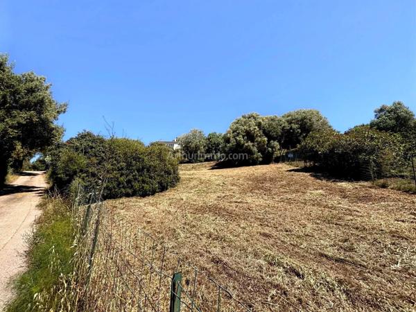 Vente                                                      Terrain
                        
                                         943 m2                     à Peri