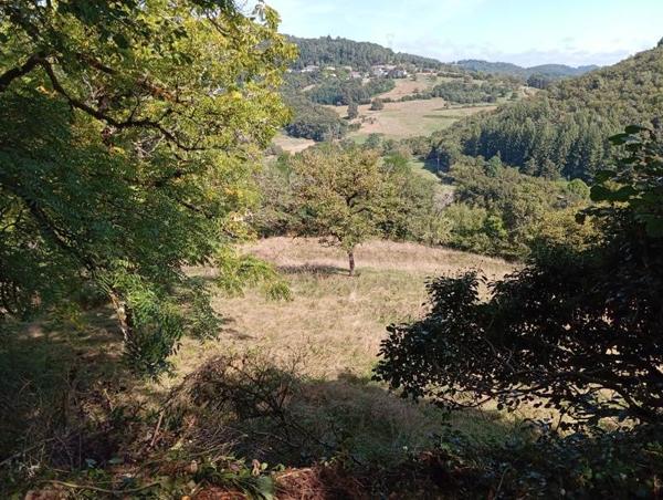 Maison à vendre |  Argentat |  8 pièces | 330 m²