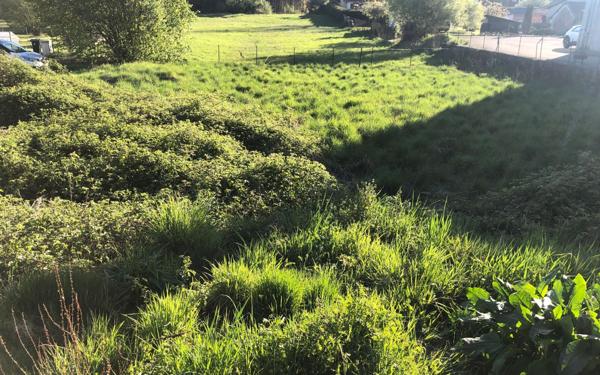 Terrain à vendre    Fraize
