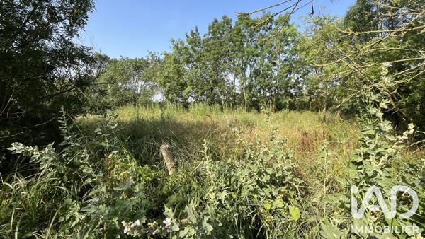 Terrain à vendre 530 m² Marans