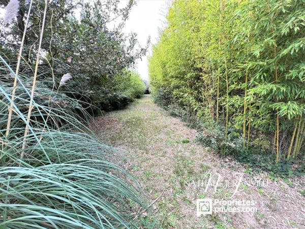 Argelès-sur-Mer, propriété d'e 254 m2 sur une parcelle de 11000m2