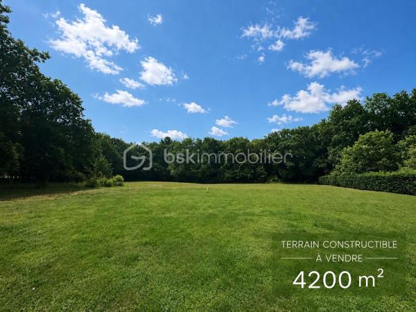 Pompignan, commune dynamique en plein essor, 
Situé à mi-chemin entre Toulouse et Montauban, dans un environnement calme et recherché de Pompignan, découvrez ce magnifique terrain ( non viabilisé) constructible de 4207m² offrant un cadre de vie privilégié, au cœur d'un environnement verdoyant.
Ce terrain plat bénéficie d'un bel espace permettant d'envisager différents projets de construction tout en conservant de généreux espaces extérieurs. 
Situé non loin des commodités, école, axes de circulation et gare.
Opportunité rare sur le secteur pour concrétiser votre projet !