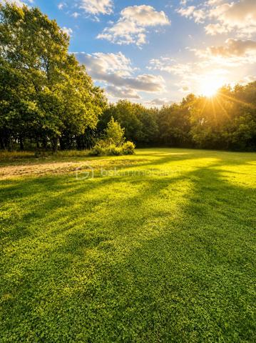 Pompignan, commune dynamique en plein essor, 
Situé à mi-chemin entre Toulouse et Montauban, dans un environnement calme et recherché de Pompignan, découvrez ce magnifique terrain ( non viabilisé) constructible de 4207m² offrant un cadre de vie privilégié, au cœur d'un environnement verdoyant.
Ce terrain plat bénéficie d'un bel espace permettant d'envisager différents projets de construction tout en conservant de généreux espaces extérieurs. 
Situé non loin des commodités, école, axes de circulation et gare.
Opportunité rare sur le secteur pour concrétiser votre projet !