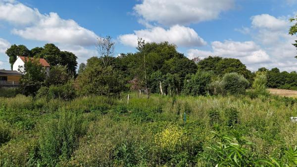 EXCLUSIVITE SAINT OMER