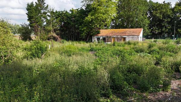 EXCLUSIVITE SAINT OMER