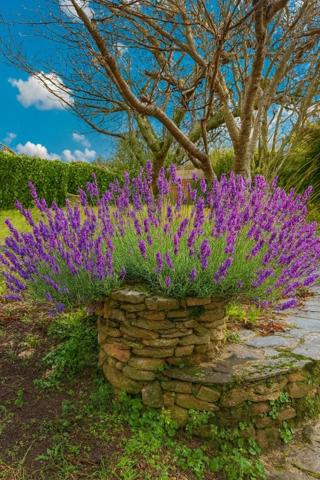 Vente / Ensemble de 2 maisons