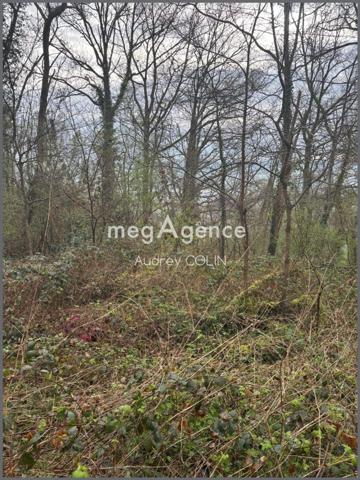 Terrain à MARSANGY, 89500 - 1390m²