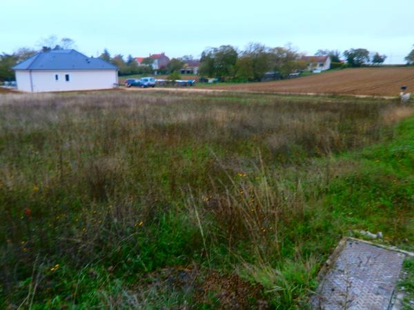 TERRAIN A BATIR DE 1405 M2 VIABILISIER EAU ET EDF ET T.A.E. Reuilly (36260)