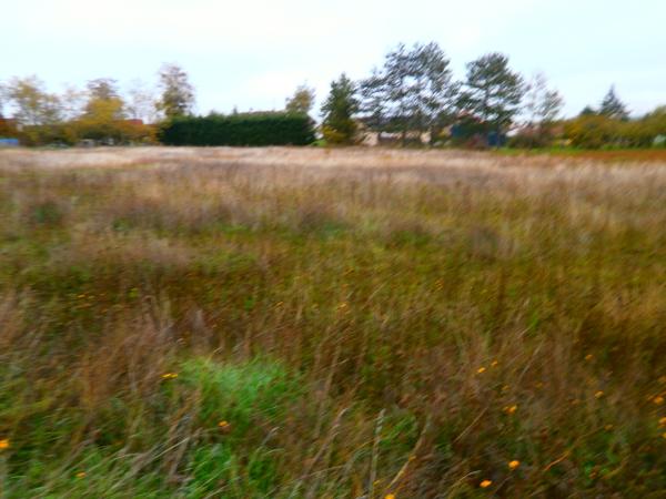 TERRAIN A BATIR DE 1405 M2 VIABILISIER EAU ET EDF ET T.A.E. Reuilly (36260)