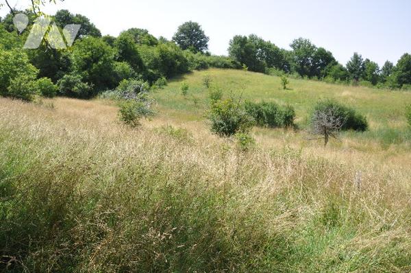 AURIGNAC centre, belle maison de 135m², garage, sur 1 hectare de terrain clôturé : prix 233.200 € CC