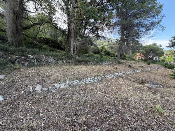 Terrain
        
        - 1638 m² 295 000 € *