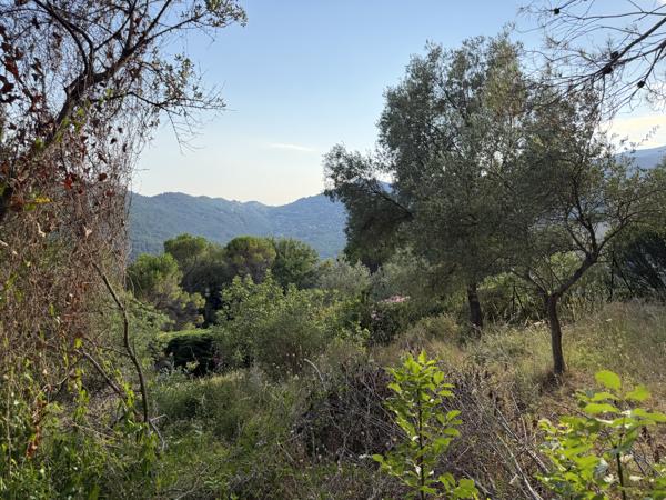 Terrain
        
        - 1638 m² 295 000 € *