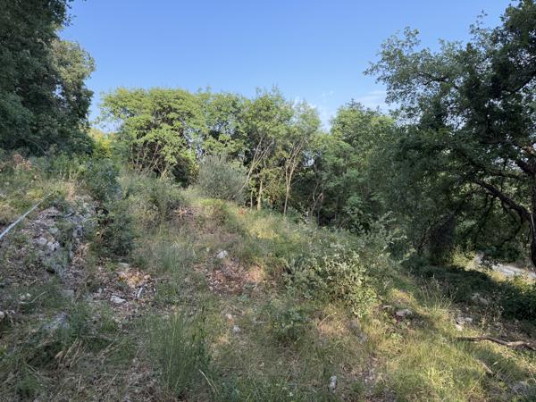 Terrain
        
        - 1638 m² 295 000 € *