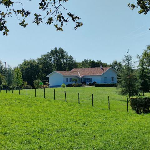 Maison Mortagne sur Sevre 8 pièces 177 m2