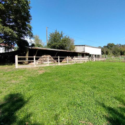 Maison Mortagne sur Sevre 8 pièces 177 m2