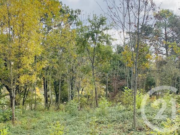 Terrain à vendre  2440 m 2   GRAULHET  - 81