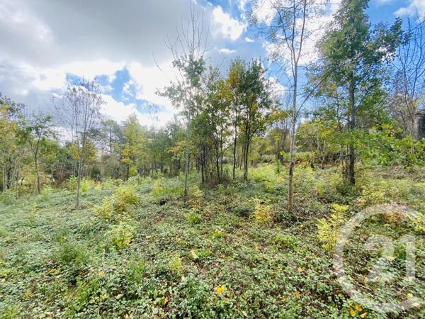 Terrain à vendre  2440 m 2   GRAULHET  - 81