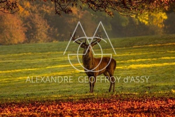 Domaine de chasse exceptionnel de 800 hectares.