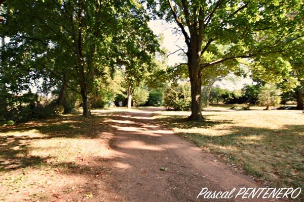 SOUCIEU-EN-JARREST – Un écrin de nature aux portes du village.
