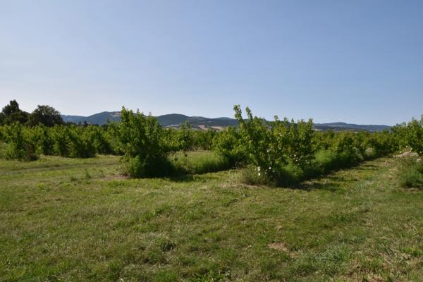 SOUCIEU-EN-JARREST – Un écrin de nature aux portes du village.