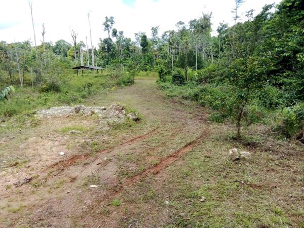 Terrain à vendre ROURA (973)