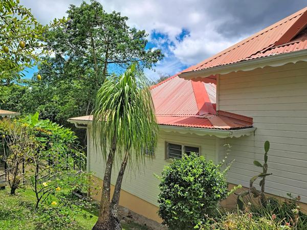 Villa atypique avec studio, piscine et jardin tropical – Pointe du Bout