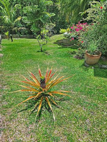 Villa atypique avec studio, piscine et jardin tropical – Pointe du Bout