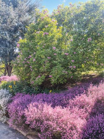 MAISON D'EXCEPTION WISSEMBOURG