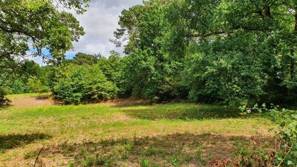 Terrain 24 000 € Saint-Privat-des-Prés 2981 m² DPE