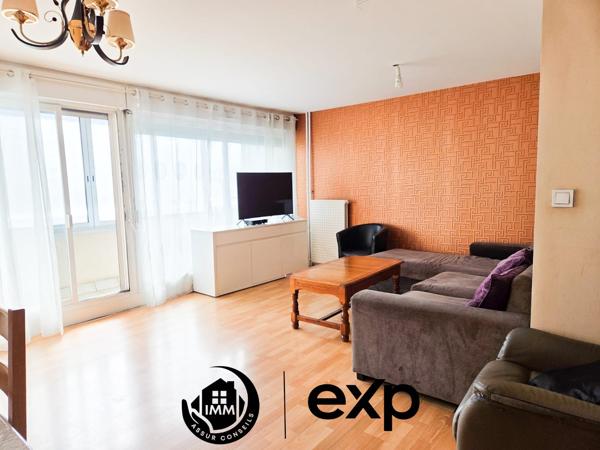 Spacieux T3 Villeurbanne Grand Clément