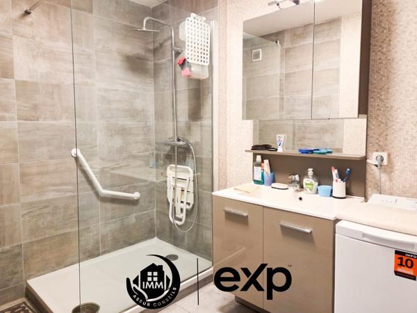 Spacieux T3 Villeurbanne Grand Clément