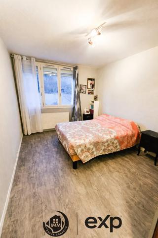 Spacieux T3 Villeurbanne Grand Clément