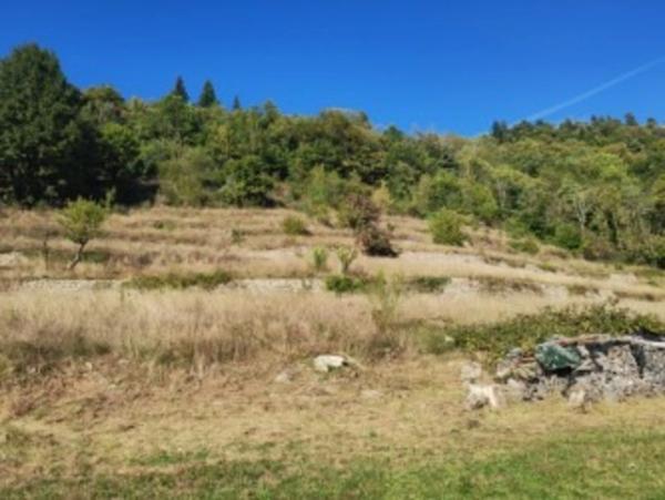 St Martin de Valamas -Propriété Rurale : 2 maisons de village mitoyennes en pierres (9 pièces) écurie, dépendances, 5000 m2 attenant, en tout 3 hectares