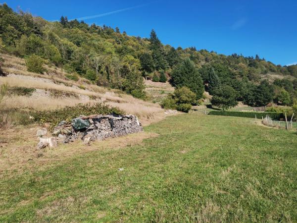 St Martin de Valamas -Propriété Rurale : 2 maisons de village mitoyennes en pierres (9 pièces) écurie, dépendances, 5000 m2 attenant, en tout 3 hectares