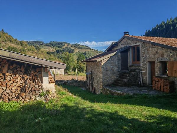 St Martin de Valamas -Propriété Rurale : 2 maisons de village mitoyennes en pierres (9 pièces) écurie, dépendances, 5000 m2 attenant, en tout 3 hectares
