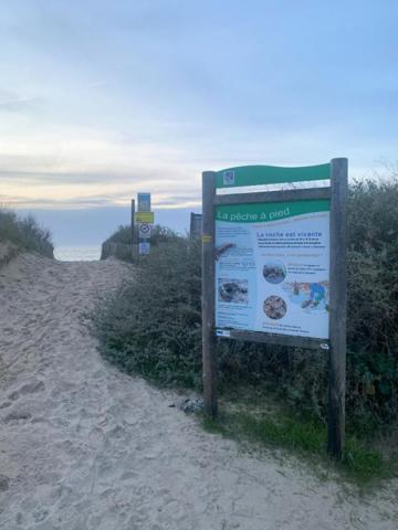 Domino -17190 -Maison 2 pièce(s) 29 m² -Ile d'Oléron -Charente Maritime