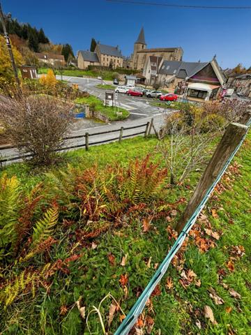Maison de 9 pièces à ROYERE DE VASSIVIERE (23)