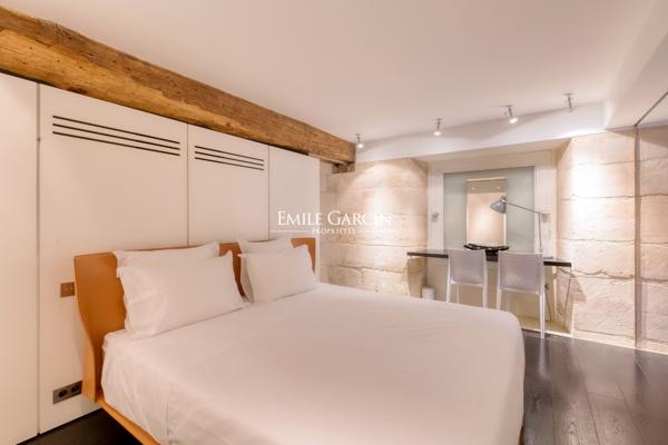 PARIS 6ème arrondissement - LOFT SUR TROIS NIVEAUX - SAINT GERMAIN DES PRES