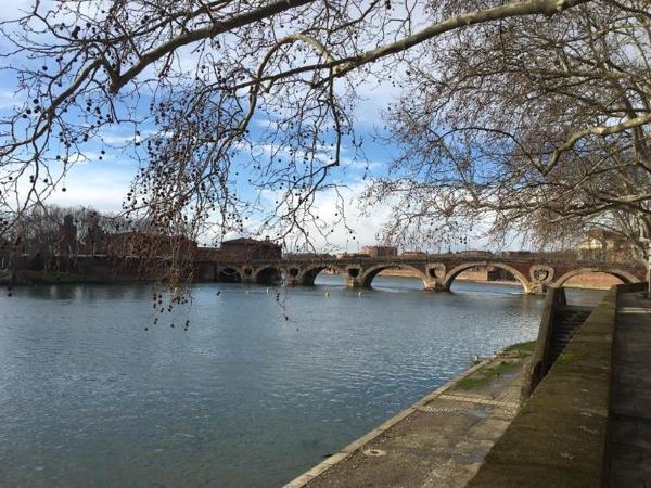 Appartement à louer 2 pièces 44.08m²