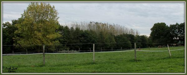 grande longère + dependances