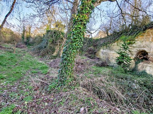 Maison Doue En Anjou 2 pièce(s) 50 m2