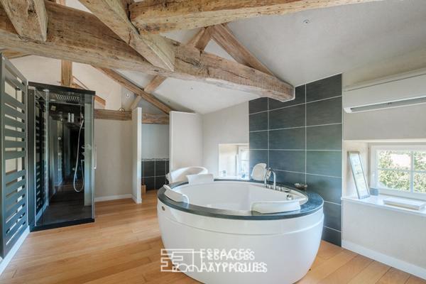 Élégante maison de maître avec son parc arboré et sa piscine