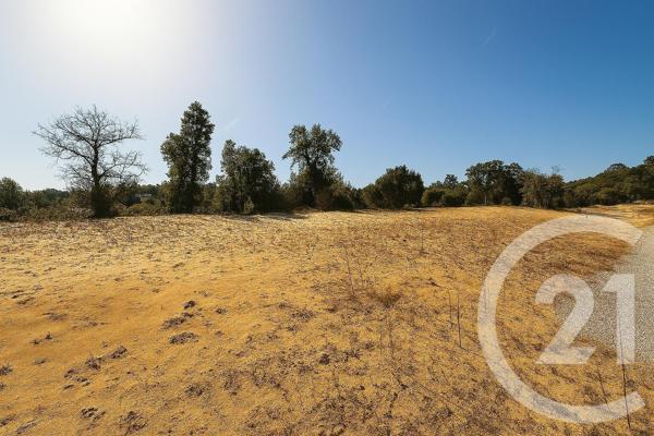 Terrain à vendre  535 m 2   ANGLET  - 64