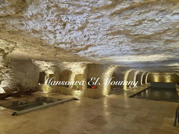 ✨ Demeure d’Exception au Cœur du Val de Loire ✨